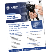 Flexible Endoscope Repair PDF Preview